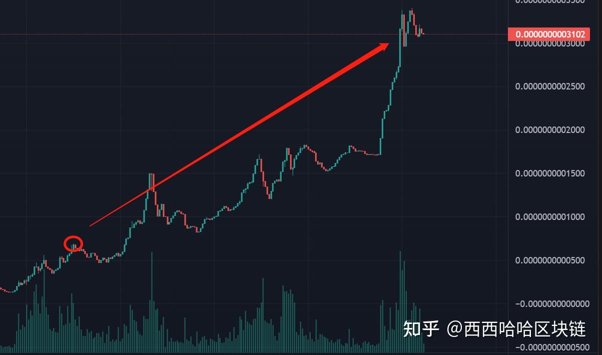 aidoge币涨了多少倍