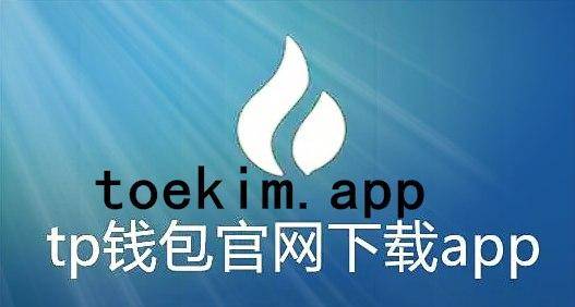 tp钱包支付密码忘记_tp钱包密码忘记了怎么办